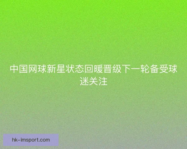 中国网球新星状态回暖晋级下一轮备受球迷关注